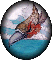 VogelRok...